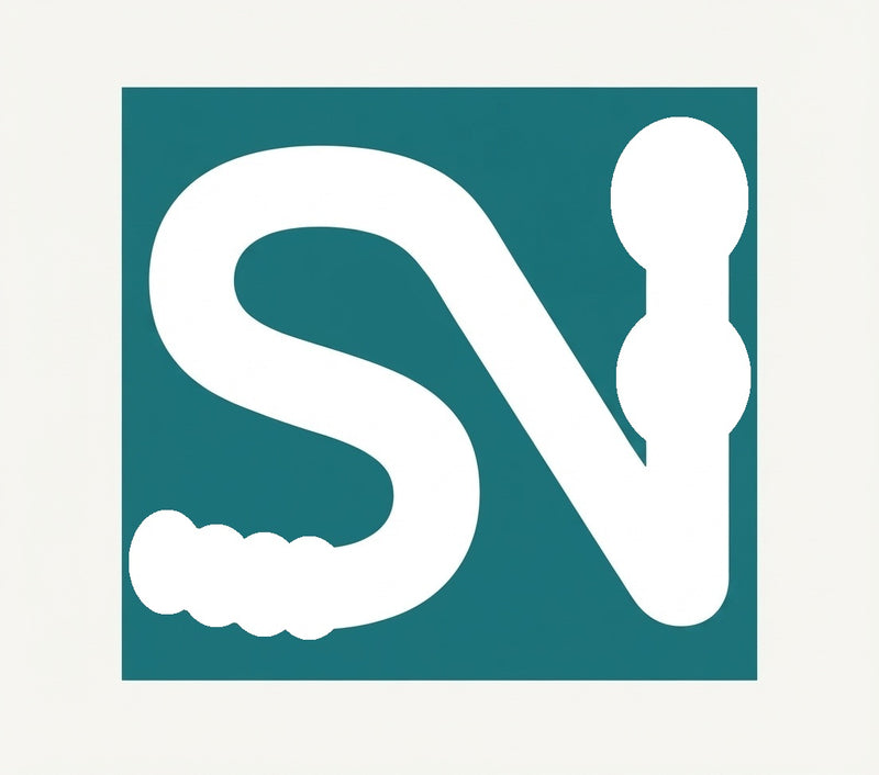 Spinning S N Logo